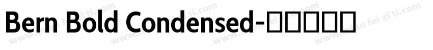 Bern Bold Condensed字体转换